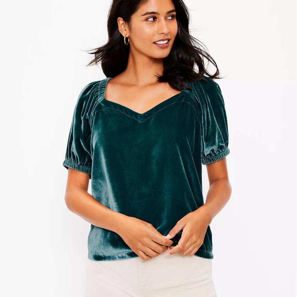 NWT — LOFT • Velvet Puff Sleeve Top